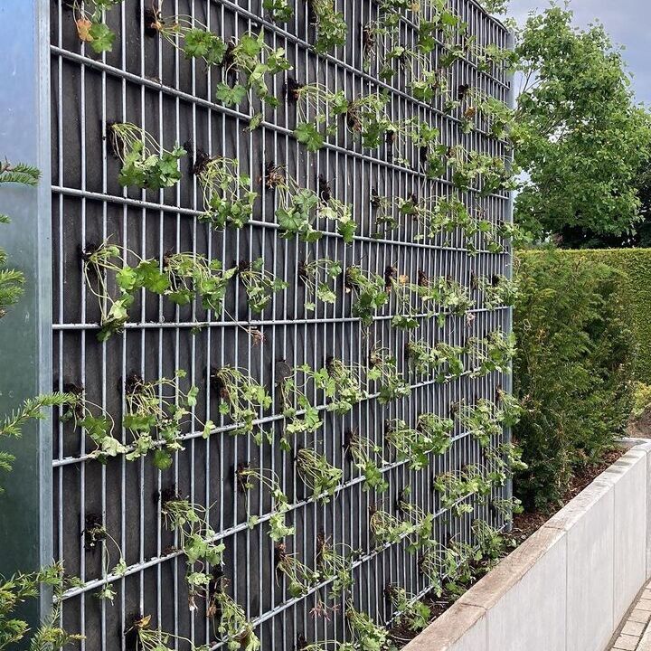 Gartengestaltung